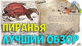 Пиранья Piranha в АРК. Лучший обзор приручение и особенности  в ark.