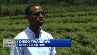 How this young agro-entrepreneur is taking Rwandan chillies global