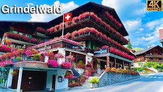 Grindelwald Valley  Heavenly Beautiful Village in Switzerland