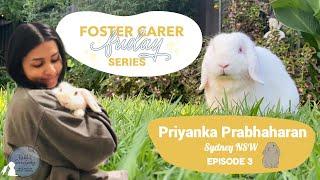 Priyanka Prabhaharan Shares Her Rabbit Fostering Experience  Foster Carer Friday Series  Episode 3