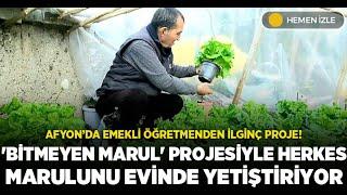 Bu da Bitmeyen marul projesi