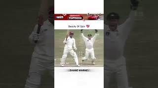 Insane Shane Warne #crickethighlights #cricket #spinner #australia #cricketlover