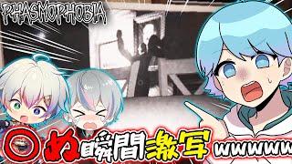 【VOISINGゲーム実況コラボ】水色組のホラゲー実況で呪われましたｗｗｗｗｗｗｗｗｗｗｗ【Phasmophobia】【いれいす】【すたぽら】【シクフォニ】