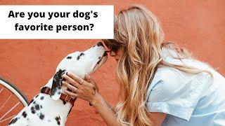 How Your Dog Chooses His Favorite Person