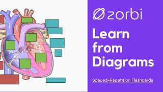Zorbi - Learn From Diagrams Image Occlusion
