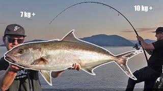 A thin line  BIG Amberjack  SHORE JIGGING Technique  Angeln im Urlaub