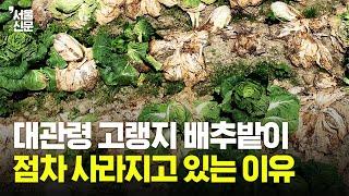 우리나라 고랭지 농업에 찾아온 위기...고랭지 배추밭 탐방 및 토론회 현장