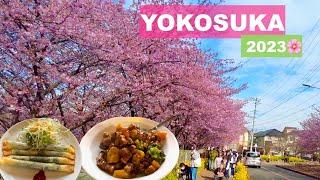 a day in YOKOSUKA Japan Family Travel 2023