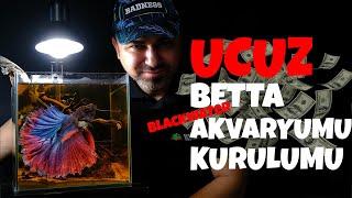 Ucuz Akvaryum Kurulumu - Betta İçin Blackwater Kurulum