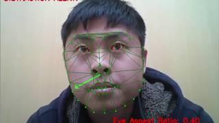 Pose & Drowsiness Detection with OpenCV & DLib Human Activity Tracking