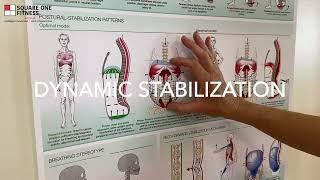 External Core VS  Internal Core   Square One Fitness