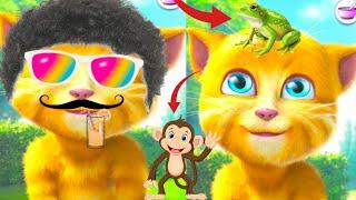 talking ginger  funny videos  talking ginger cat  talking ginger 2  talking ginger 