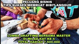 RAHASIA SUKSES GRAFTING BIBIT ANGGUR  PANDUAN PRAKTIS DARI PARA MASTER