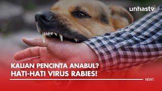Kalian Pencinta Anabul? Hati-hati dengan Virus Rabies