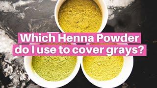 Which Henna Powder is BEST for Covering Grey hair?