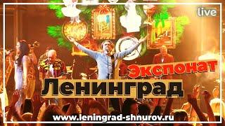 Ленинград — Экспонат Live 2024