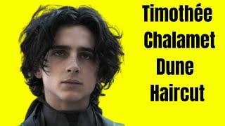Timothée Chalamet Dune Haircut - TheSalonGuy