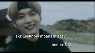 Stray Kids Easy but its LeeKnow m0@ns and sounds ft.bonus 