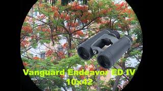 Vanguard Endeavor ED IV 10x42