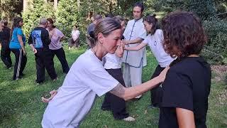 Tui Shou   Einhand-Drehen im Shaolin Temple Europe mit Sifu Jürgen Meyer und Shi Heng Zuan