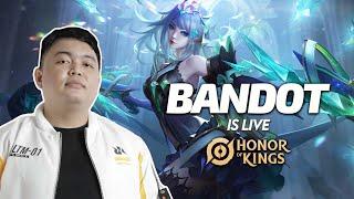 LIVE - ranked santai ke epic  Honor of Kings Indonesia  Dreamforest  ENGINA