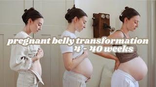 Pregnant Belly Growth from 4 Weeks to 40 Weeks with Baby #4