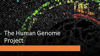 The Human Genome Project