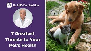 Seven Greatest Threats To Your Pets Health  Dr. Bills Pet Nutrition