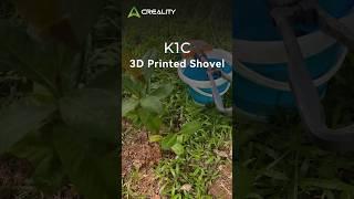 Witness a sapling growing from small to large its interesting &educational. Right? #k1c