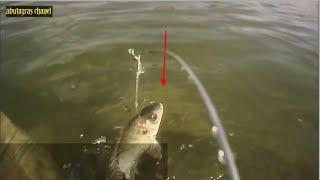mancing ikan nila pake gopro camera bawah air strike nya bikin penasaran