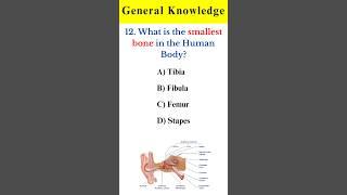 Gk Questions and Answers  Human Body Gk Question #shorts #ytshorts #gk #quiz #viral #trending