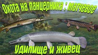 Fishing Planet PS4#  Охота на панцирника Матчевое удилище живец  Миссии мастерство