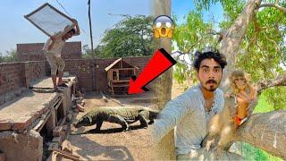 Big Lizard Hamare Sab Pets Ko Khaa Rhi Thi Achanak Monkey Mil Gaya