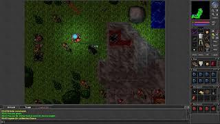 Tibia 7.3 Low level PK party on Amera