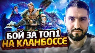 КТО ЛУЧШЕ - ГНУТДРАКОМОРФ ИЛИ НИНЗЯ В УНИВЕРСАЛЬНОМ АНКИЛЕ? ПОЛНЫЙ ОБЗОР RAID SHADOW LEGENDS