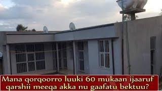 Mana qorqoorroo Lukii 60 mukaan ijaaruf qarshii meeqa akka nu gaafatu beekuf