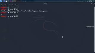 Bash Variables on kali linux with Echo Functions