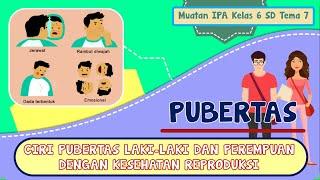 KELAS 6  TEMA 7  MUATAN IPA  CIRI-CIRI PUBERTAS PADA LAKI-LAKI DAN PEREMPUAN DAN CARA MENYIKAPI