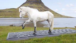 OutHorse Your Email to Iceland’s Horses