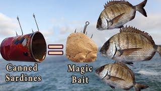 How To Make Magic Bait Less Than 1$ With Canned Sardines - #Catch-More-Fish