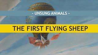 Unsung Animals #3 - The Flying Sheep