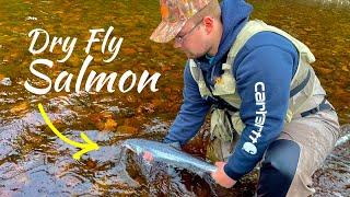 Epic Dry Fly Fishing for Atlantic Salmon in Newfoundland 