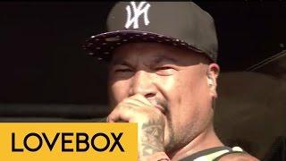 Shapeshifter - Monarch  Lovebox 2014  FestivoTV