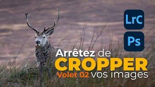 Arrêtez de CROPPER vos images Volet 02