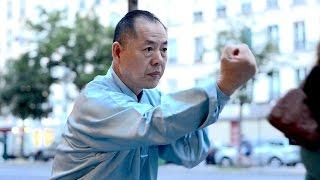 Snake style - Wang Li Kun the real Tai Chi master 9ème dan