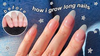 HOW I GROW LONG NATURAL NAILS  The Beauty Vault