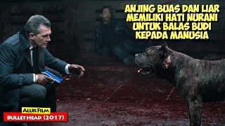 Kisah Anjing Yang Melakukan Bals Budi Kepada Manusia Yang Menolongnya  Alur Cerita Film BULLET HEAD