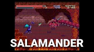 Salamander - Majyuu Ou King of Demons Boss Battle