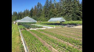 A Family Farm in Haines with Scott Hansen — In the Southeast Alaska Garden with Heidi Rader