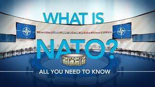 What is NATO? All you need to know